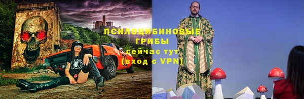 гидра Горняк